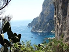 Wyspa, Capri, Morze, Kaktusy