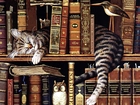 Śpiący, Kot, Regał, Książki