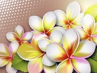 Plumeria, Art