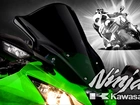 Kawasaki ZX-10R Ninja, Motocykl, Zielony, Ścigacz, Motocyklista