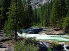 Stany Zjednoczone, Stan Kalifornia, Park Narodowy Yosemite, Las, Rzeka