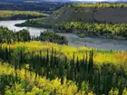 Rzeka, Lasy, Yukon, Kanada