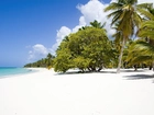 Plaża, Biały, Piasek, Morze, Dominikana