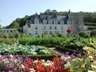 Ogród, Zamek, Villandry, Francja