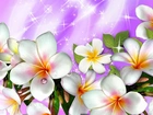 Plumeria, Art