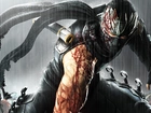 Ninja Gaiden 3