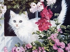 Biały, Kot, Kwiaty