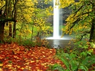 Jesień, Wodospad, Las, Liście