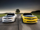 Droga, Drzewa, Chevrolety, Camaro, 1LE, 2013