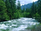 Rzeka, Las, Góry, Yosemite, Kalifornia