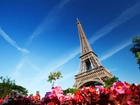 Francja, Paryż, Wieża, Eiffla