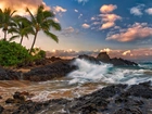 Hawaje, Maui, Morze, Skałki, Palma