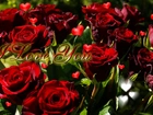 Czerwone, Róże, Napis, Miłośc