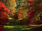 Park, Ławka, Jesień