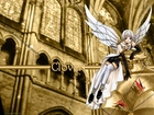 Clover, katedra, kobieta, skrzydła