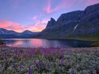 Łąka, Jezioro, Góry, Norwegia