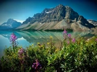 Góry, Jezioro Alberta, Kanada