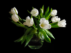 Białe, Tulipany, Wazon