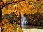Jesień, Las, Wodospad, Żółte, Liście