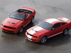 Mustang Shelby, Ford Mustang, Cabrio