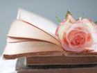 Róża, Książki, Kompozycja