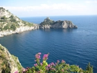 Morze, Skały, Kwiatki, Amalfi, Włochy