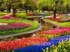 Park, Rzeczka, Kwiaty, Tulipany