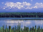 Alaska, Willow, Park, Narodowy