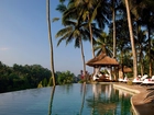 Bali, Dżungla, Hotel, Viceroy, Basen, Palmy