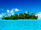 Morze, Wyspa, Palmy, Malediwy