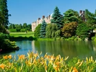 Jeziorko, Kwiatki, Drzewa, Pałac, Sandringham, Anglia