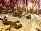 Kamienie, Drzewa, Słońce, Snieg
