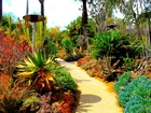 Ogród, Botaniczny, San Marino, Kalifornia, USA