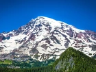 Wulkan, Mount Rainier, Góra, Lasy