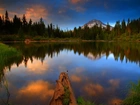 Jezioro, Mirror, Las, Odbicie, Yosemite, Kalifornia
