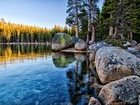 Las, Jezioro Tenaya, Yosemite Park Narodowy, Kalifornia