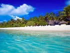 Morze, Plaża, Palmy, Malediwy
