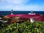 Latarnia morska, Faro de Tabarca, Most, Światła, Morze, Wyspa Isla Pancha, Ribadeo, Hiszpania