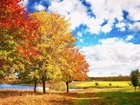 Jesień, Łąki, Jezioro, Chmury, Drzewa