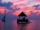 Morze, Żaglówka, Altana, Zachód Słońca, Malediwy