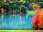 Jesień, Woda, Las, Odbicie, Liście, Kolorowe