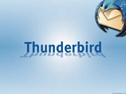 Thunderbird, koperta, grafika, ptak