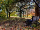 Park, Ławka, Jesień