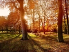 Park, Jesień, Promienie, Słońca