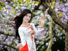 Piękna, Japoneczka, Park, Kwitnące, Drzewa