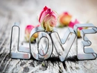 Napis, Love, Kwiatek, Miłość