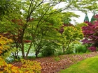 Rzeka, Ogród, Botaniczny, Vancouver, Jesień