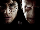 Harry Potter 7