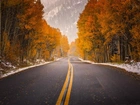 Droga, Lasy, Góry, Jesień
