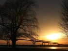 Most, Drzewa, Zachód, Słońca